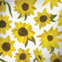 Cat Coq Sunflower Acrylic Surface Book 2 13.5in Skin